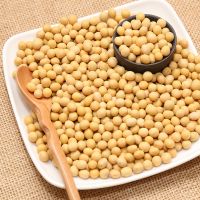 Benin Origin Food High Grade Yellow Non Gmo Soybean Seed