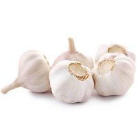 2020 crop fresh pure white garlic