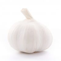 Pure White and Red Skin Garlic from Chile