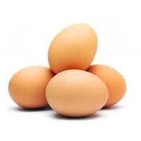Fresh Brown and White Table Eggs