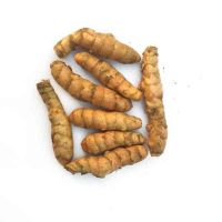 Turmeric Fingers Spices