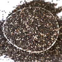 Black Chia Seeds Bulk Price | Raw wholesale Chia Seed Best offer