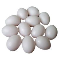 100% Fresh Chicken Table Eggs