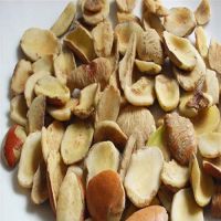 Ogbono Nut Para Nut Paradise Nut Pecan