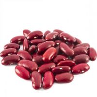 Wholesale Dried Dark Red Kidney Bean for Canned Food