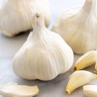 New Crop Fresh Pure White Garlic (5.0cm, 5.5cm, 6.0cm)