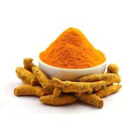Curcumin Extract Turmeric Powder