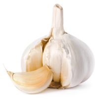 2020 Fresh Garlic Normal/Pure White 4.5/5.0/5.5/6.0/6.5cm