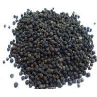Black Pepper [ Indian Origin ]