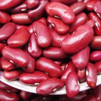 The Newest Crop Kidney Beans Pure Natural Organic Red Kidney Beans