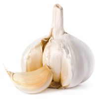 High quality wholesale organic pure white fresh garlic