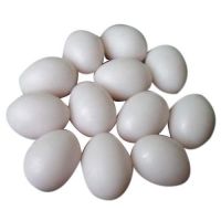 Ukraine Table White/Brown Egg for Sale