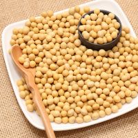 New Crop soybean for sale from Lithuania