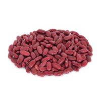Light Speckled Kidney Beans sugar beans pinto beans for sale