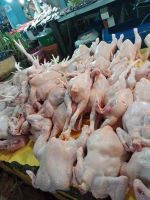 Quality Frozen Grade A Halal Whole Chicken And Chicken Parts