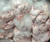  Hala Frozen Chicken Feet/Chicken Paws/ Chicken Leg Quarter whatsapp: +56 322 768 478