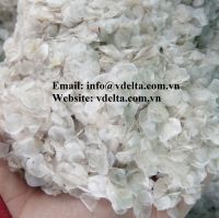 High Quality Fish Scale/ Dried/ Dry/Scraper/Tilapia/Best Price MS. GINA +84 347 436 085