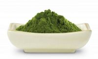 Moringa leaf extract powder 100% high quality organic from Viet Nam best price/ Ms.Serene +84582301365