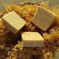 NATURAL SEA MOSS/ IRISH SEAMOSS SOAP MADE IN VIETNAM/ MS. Dilys +84 969 694 230