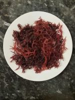 SEA MOSS FROM VIETNAM//Ms. Julie +84767799825