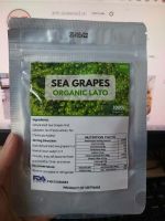 sea grapes latok green caviar seaweed nori from Vietnam//Ms. Julie +84767799825