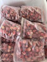 IQF Frozen Strawberries Bulk Vacuum-Packed for Convenient Storage and Easy Use / Mr. Jacob