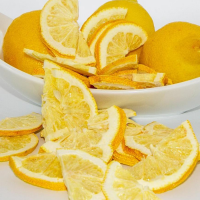 Best Price Dried Lemon and Orange Slices Premium Quality / Ms. Lucinda