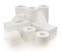 Toilet Rolls