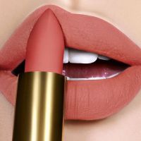  Private Custom Label Lip Gloss Stick Lipgloss Neon Colour Color Matte Red Liquid Orange Lipstick 