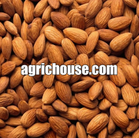 Almond nuts