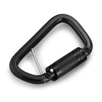 Steel Carabiner with Pin Added of Safety Webbing Lanyard