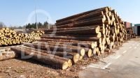 Pine Logs