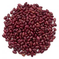 Organic Dark Red kidney bean 