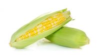 White and Yellow Corn