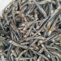 dried anchovy(sprats)