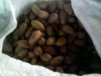 Pecans/Sumner