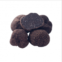 White and Black truffle, fresh truffle