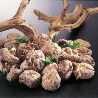 Shitake Shiitake AD Organic Dried Mushroom