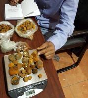 Cattle Gallstones and Cow Gallstones