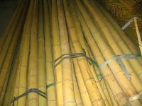 Bamboo Raw Materials