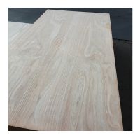Eucalyptus plywood 