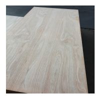 Eucalyptus plywood