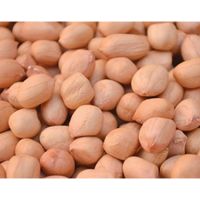 South Africa Bold Peanuts