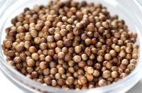 Export quality coriander seed