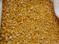 CHANA DHAL for sale 