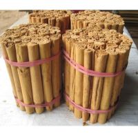 Top Quality Cinnamon Available For Supplier Price 