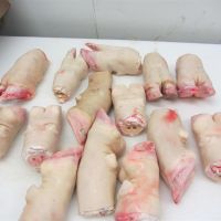 Best Offer Frozen Beef Carcass/Frozen Beef Cuts/ Halal Frozen Cow Meat-Best Prices