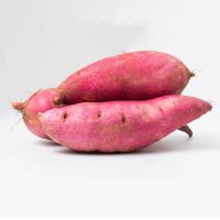 High Quality Fresh Sweet Potatoes from South Africa