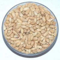 Neem Seed 