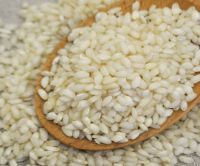 Premium Quality Arborio Rice For Sale 